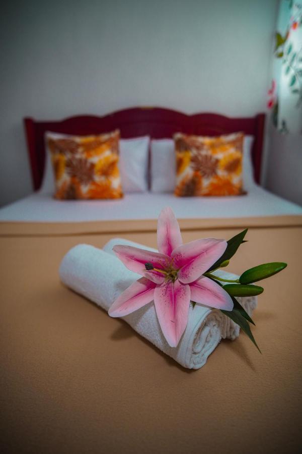 Amparo'S Tourist Inn - Coron Bagian luar foto
